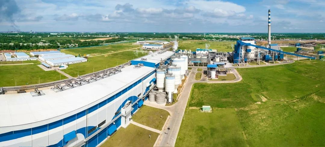 Stake(�й���)�ٷ���վ