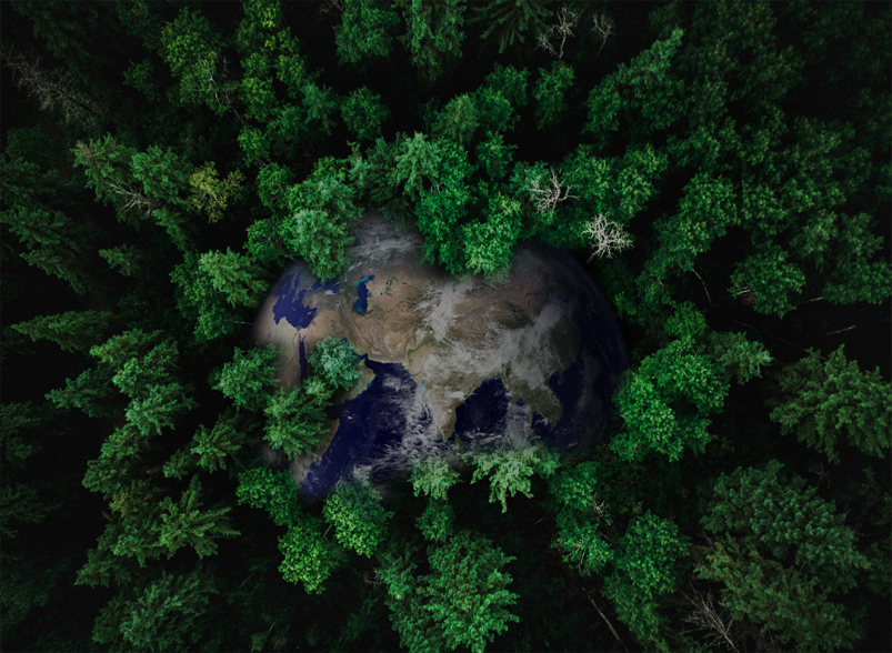 Stake(�й���)�ٷ���վ