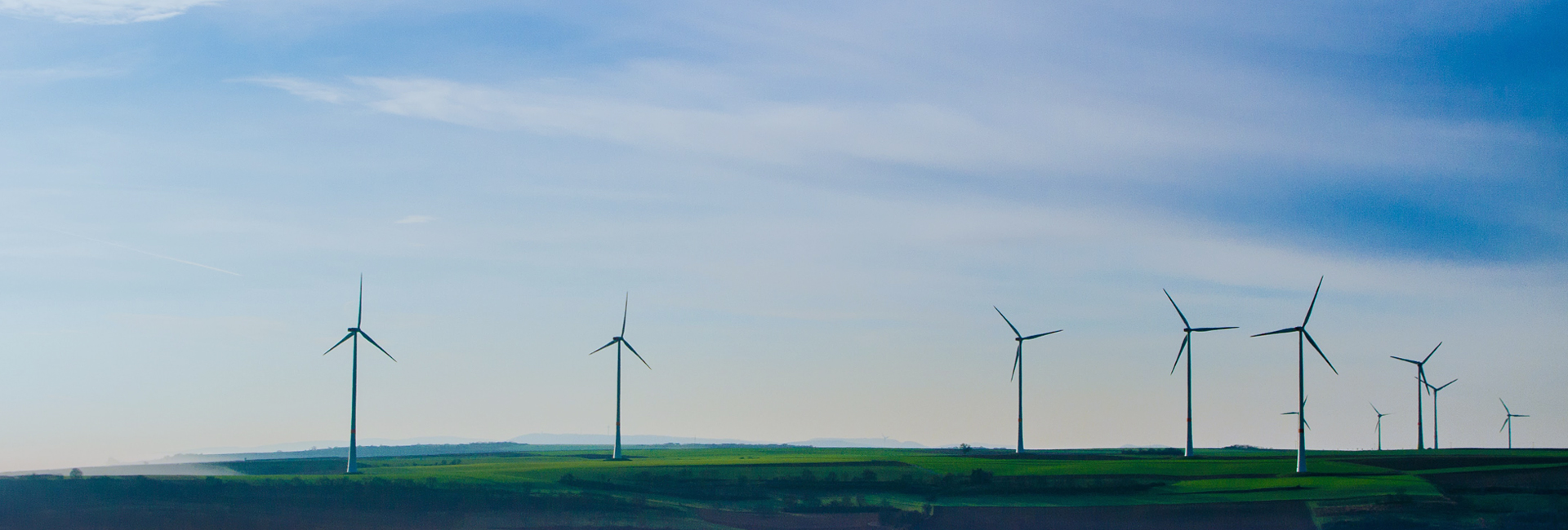 Stake(�й���)�ٷ���վ