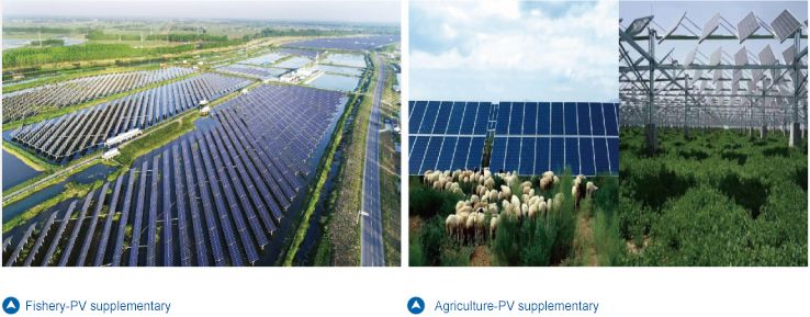 Stake(�й���)�ٷ���վ