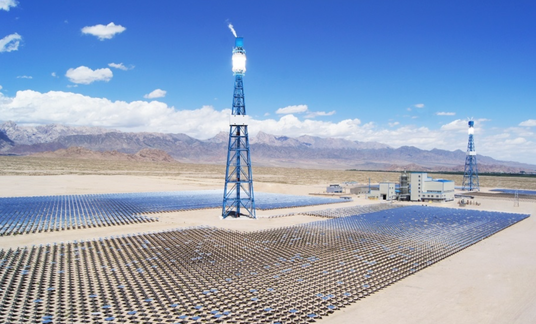 Stake(�й���)�ٷ���վ