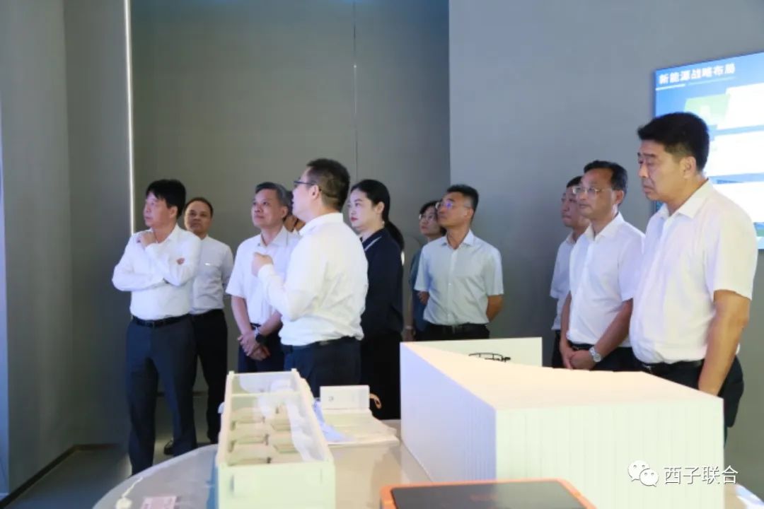 Stake(�й���)�ٷ���վ