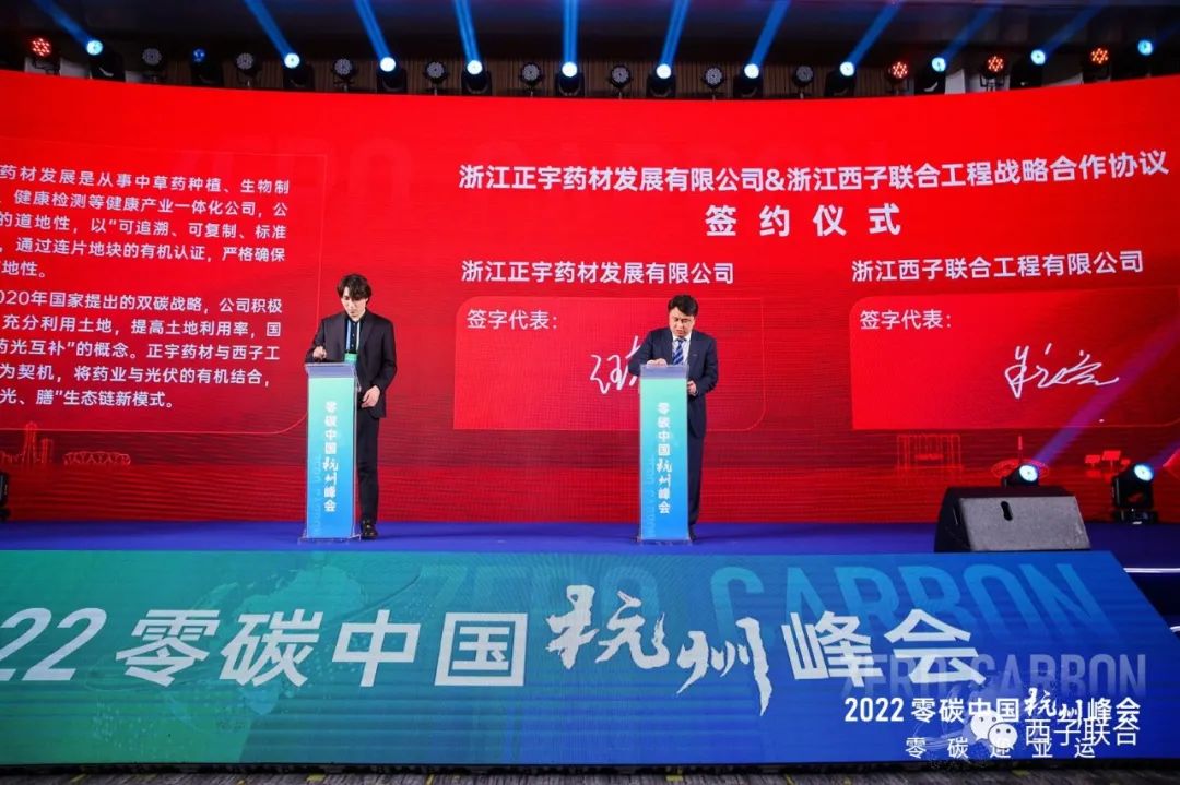 Stake(�й���)�ٷ���վ