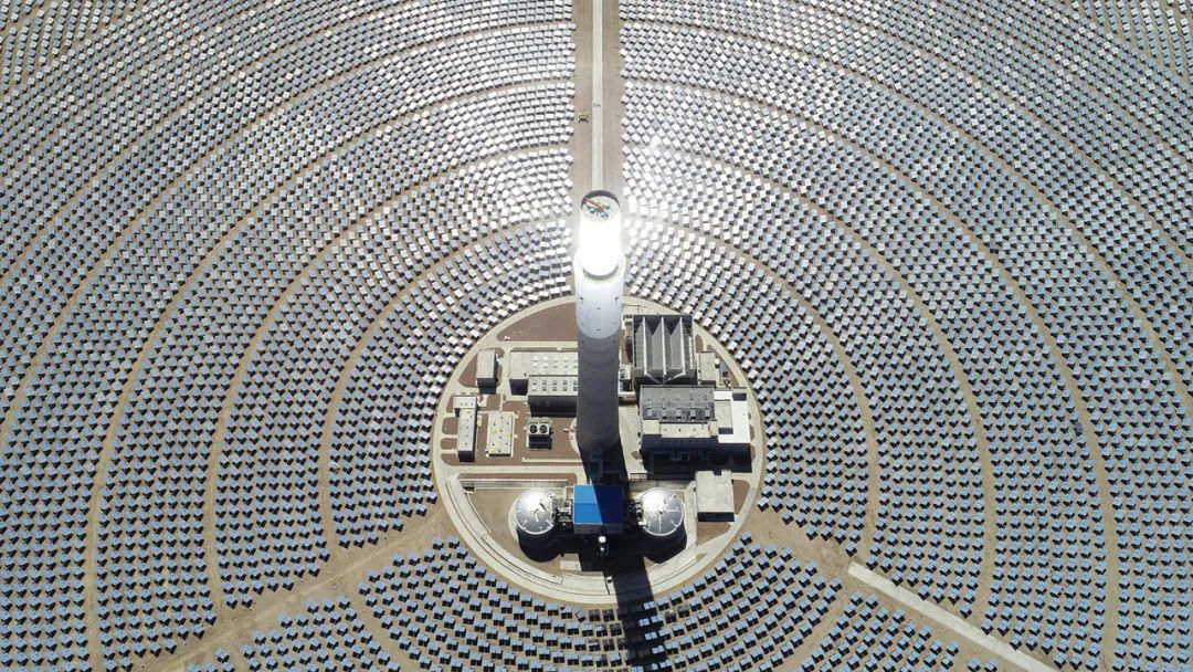 Stake(�й���)�ٷ���վ