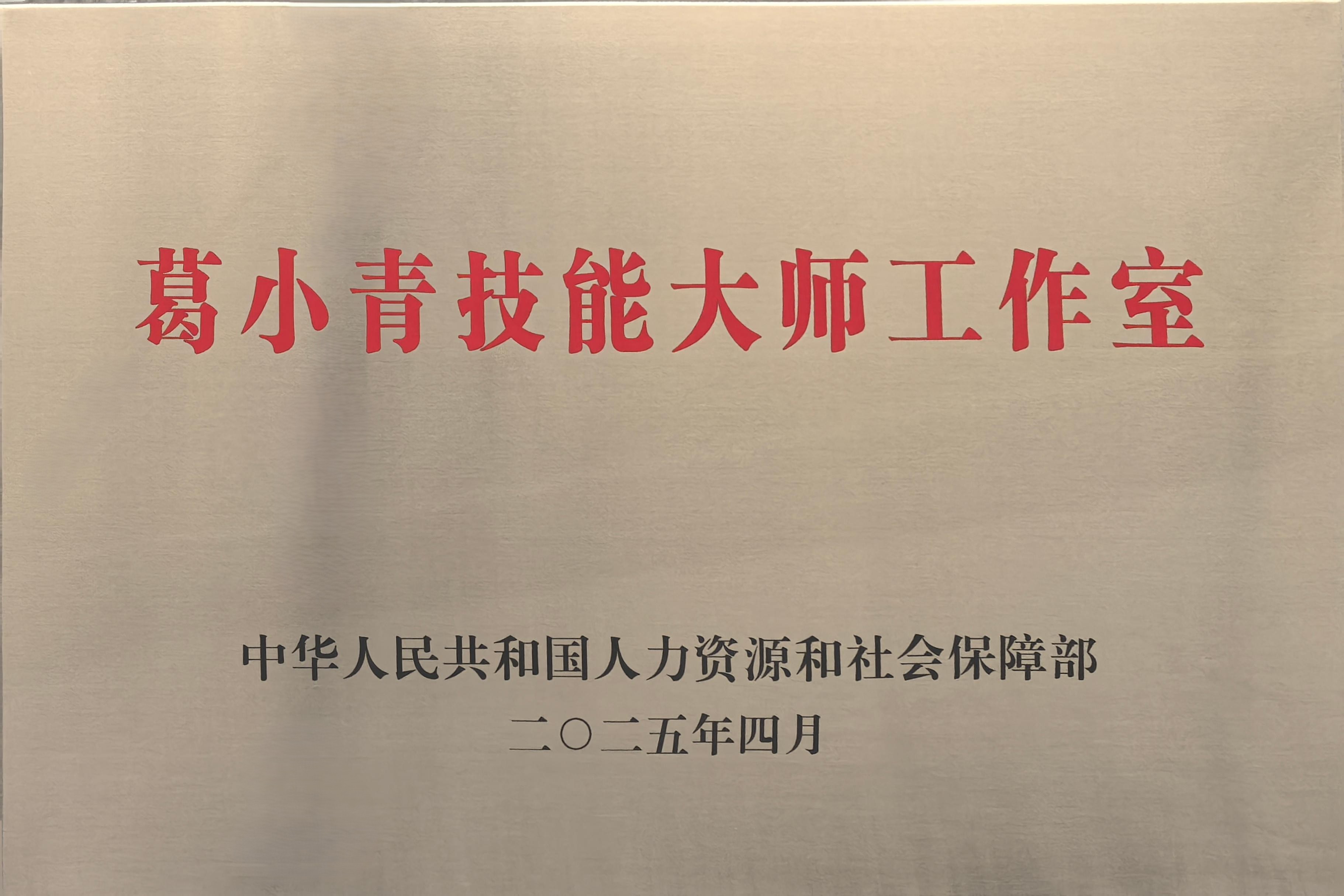 Stake(�й���)�ٷ���վ